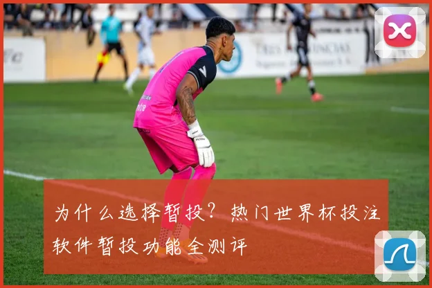 为什么选择暂投？热门世界杯投注软件暂投功能全测评