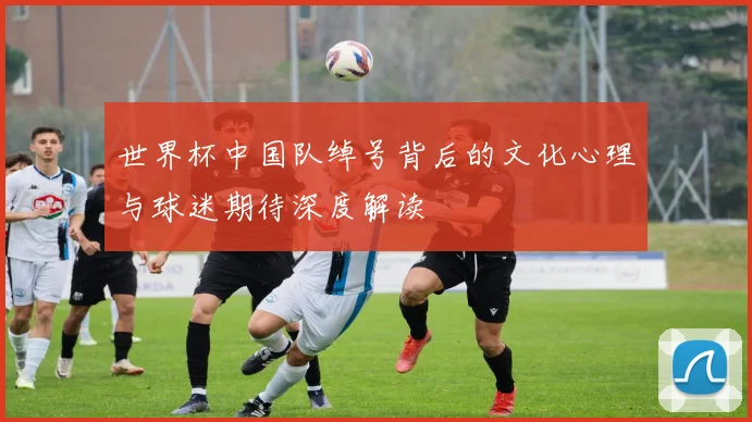 世界杯中国队绰号背后的文化心理与球迷期待深度解读